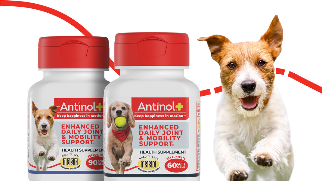 Antinol Plus for Dogs