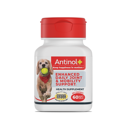 Antinol® Plus - 60ct