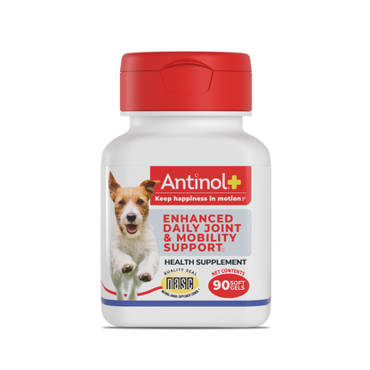 Antinol® Plus - 90ct