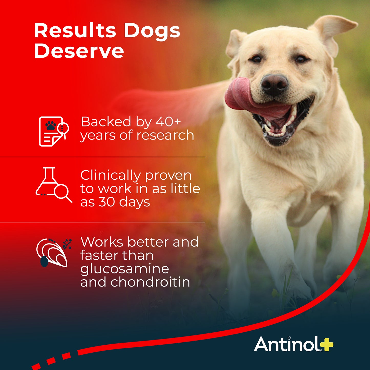 Antinol® Plus - 180ct