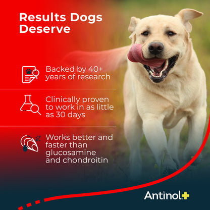 Antinol® Plus - 60ct