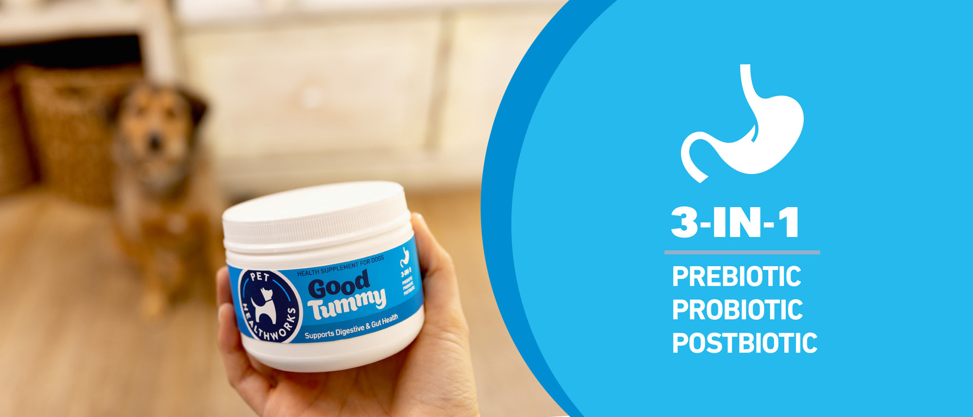 Person holding a 'Good Tummy' pet supplement jar with a dog in the background - 3-IN-1 Prebiotic, Probiotic, Postbiotic