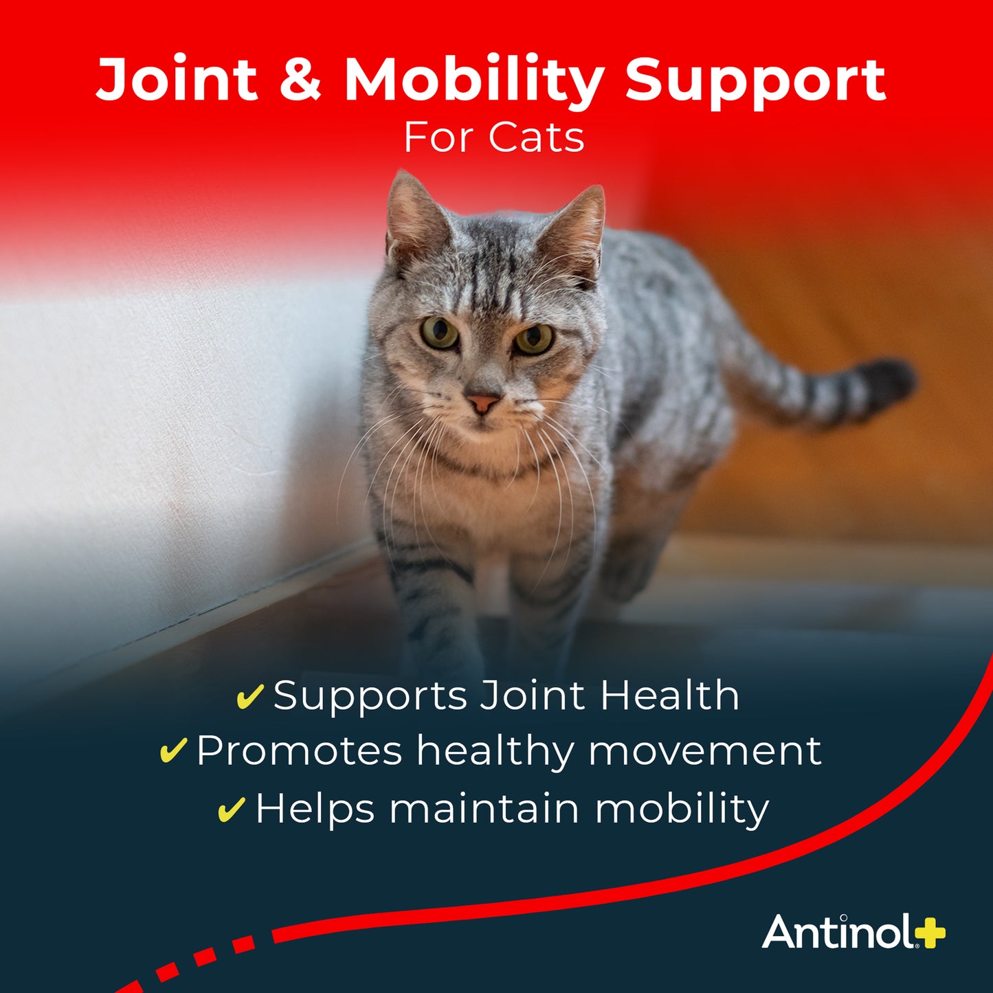 Antinol Plus for Cats - Twist Off (60ct)