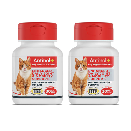 Antinol Plus for Cats - Twist Off (60ct)