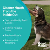 Good Mouth - Dental Chews - 60ct